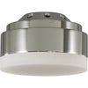 Polished Nickel
