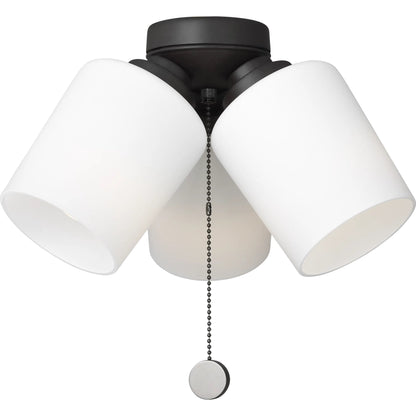Windom Light Kit by Generation Lighting. Made from steel in a transitional style.