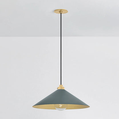 Clivedon Pendant by Hudson Valley. Made from unique in a modern style.