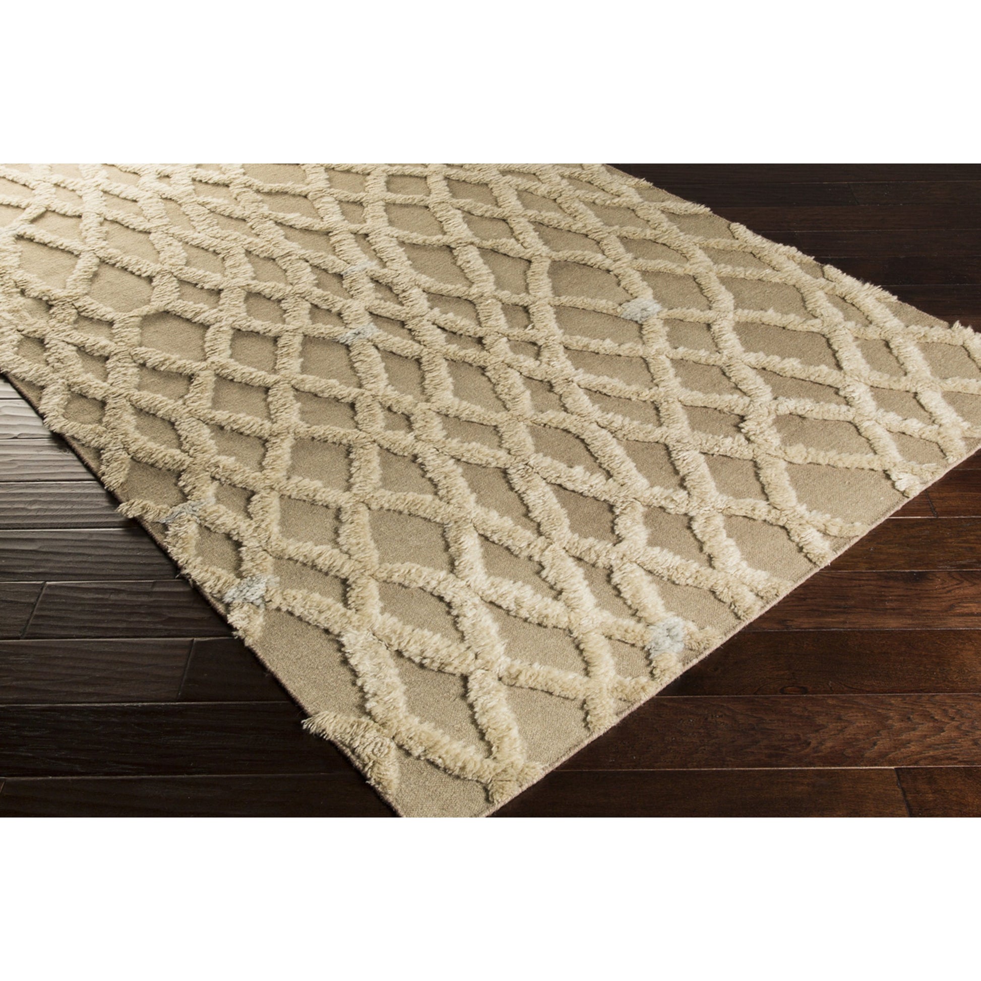 Midelt MDT-1001 Rug by Surya. Made from 100% wool in a unique style.