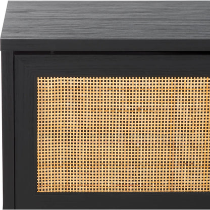 Aino 2 Door Media Stand by Safavieh. Made from unique in a unique style.