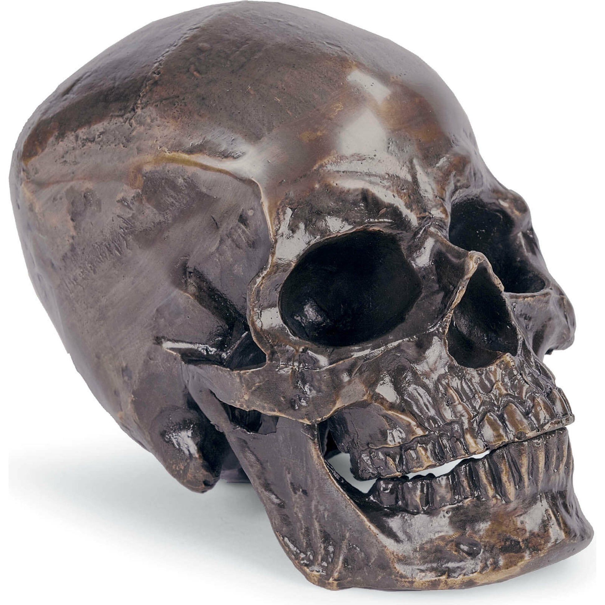 Metal Skull by Regina Andrew in bronze and bronze. Made from aluminum in a modern style.
