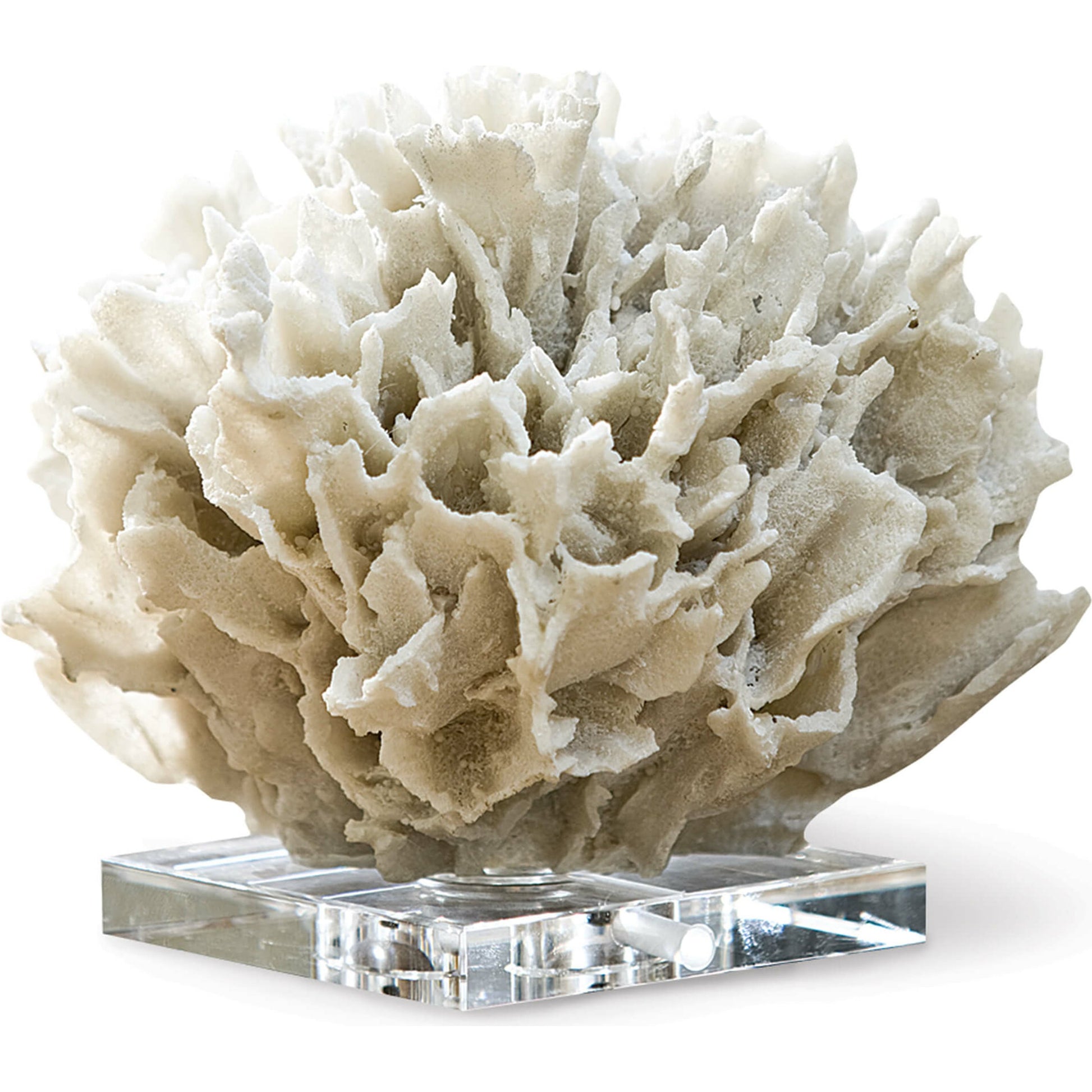 Ribbon Coral by Regina Andrew in white, natural and white. Made from resin in a coastal style.