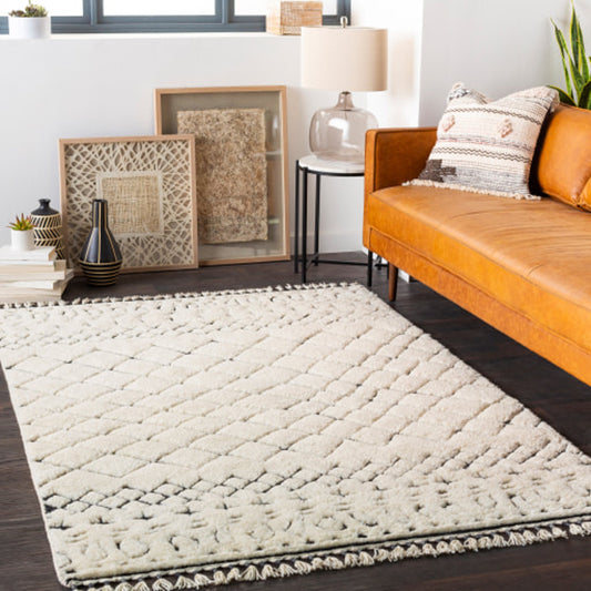Meknes Rug - 24986 by Surya in cream, black. Made from 100% new zealand wool in a unique style.