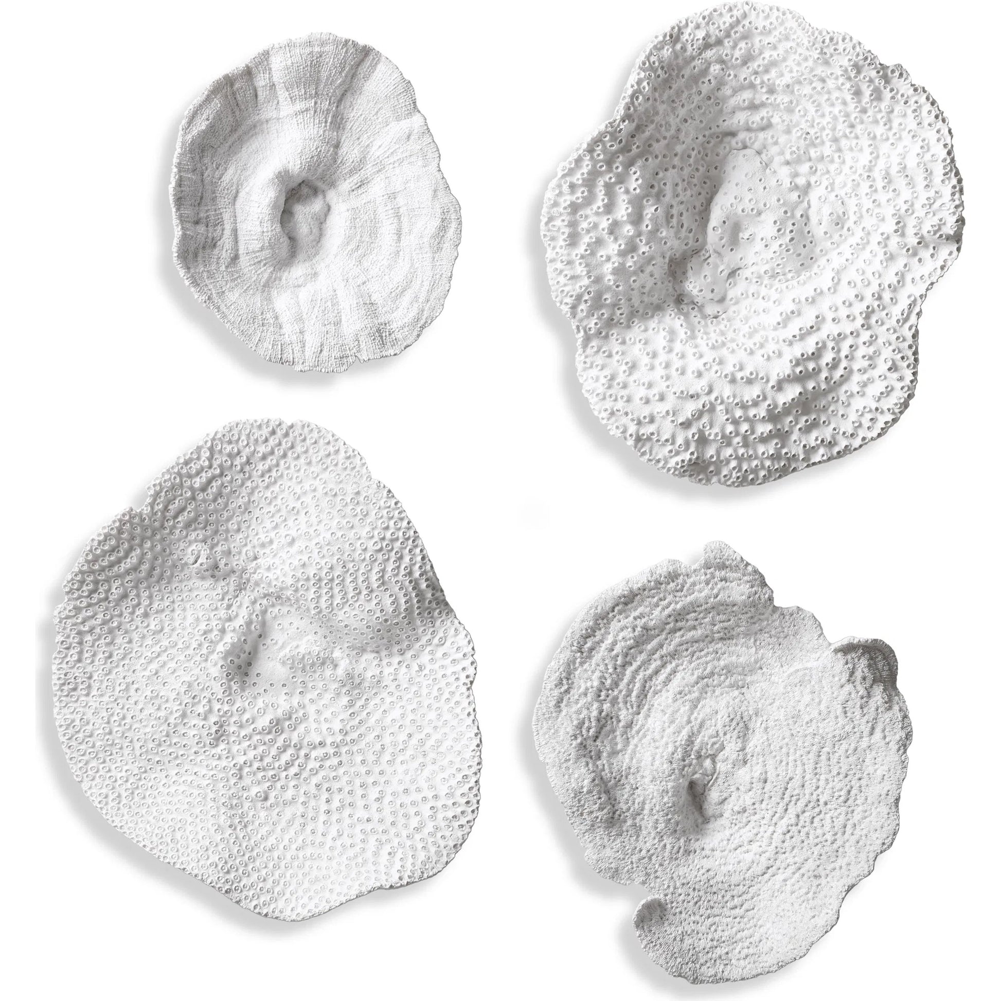 Sea Coral Wall Art (Set of 4) by Uttermost in multi. Made from polyresin in a coastal style.