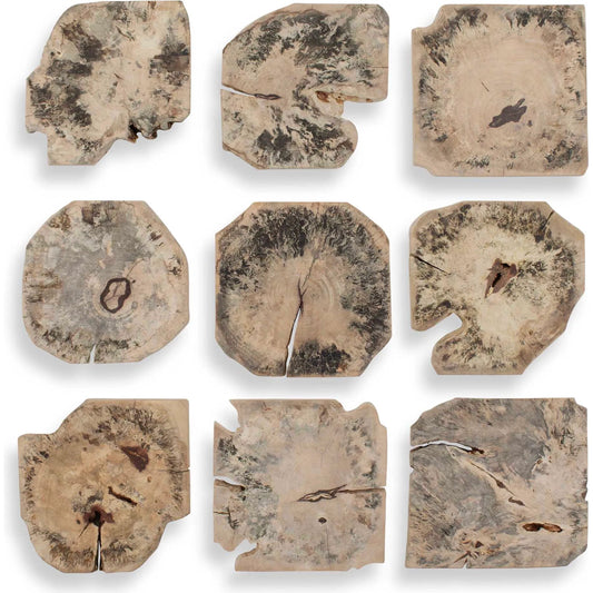 Bahati Bleached Wall Decor by Uttermost in brown and wood. Made from tamarind wood in a unique style.