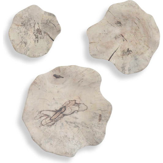 Teo Bleached Wall Decor by Uttermost in brown. Made from tamarind wood in a unique style.