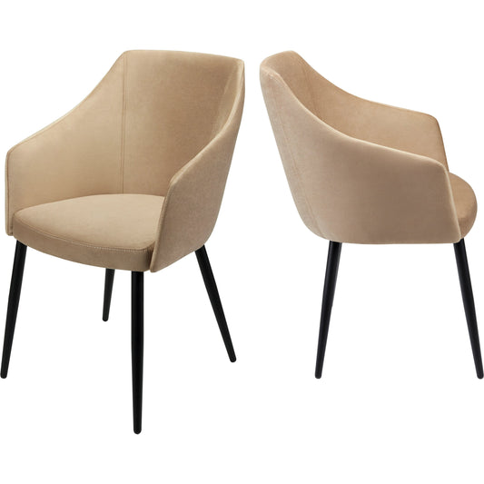 Milford Dining Chair - 359588 (Set of 2) by Surya in powder coated. Made from unique in a transitional style.