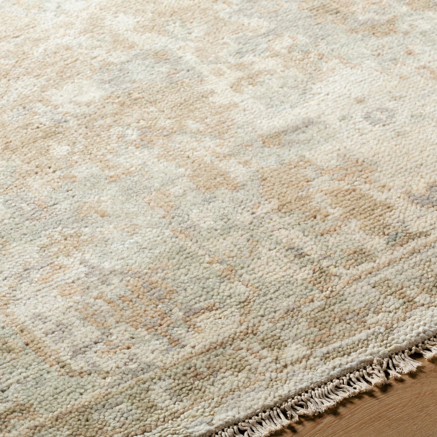 004 SI-2132865,SI-2132866,SI-2132867,SI-2132868 | Closeup | Monterey MOY-2305 Rug by Surya in beige, sandstone, pale sage, ivory. Made from face: 100% wool, warp: 100% cotton in a unique style.