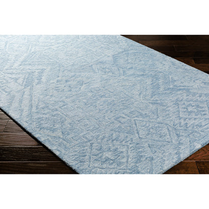 Newcastle Rug - 23667 by Surya. Made from 100% wool in a unique style.