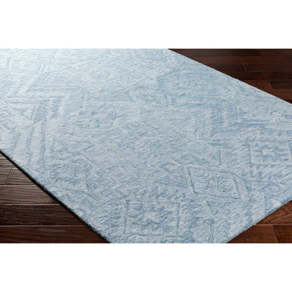 Newcastle Rug - 23667 by Surya. Made from 100% wool in a unique style.