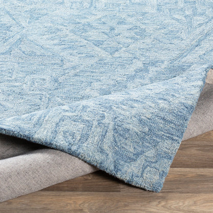 Newcastle Rug - 23667 by Surya. Made from 100% wool in a unique style.