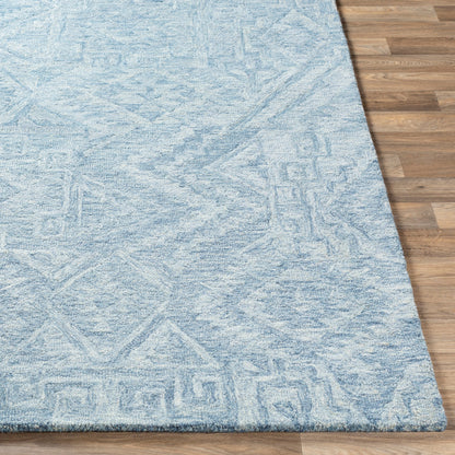 Newcastle Rug - 23667 by Surya. Made from 100% wool in a unique style.