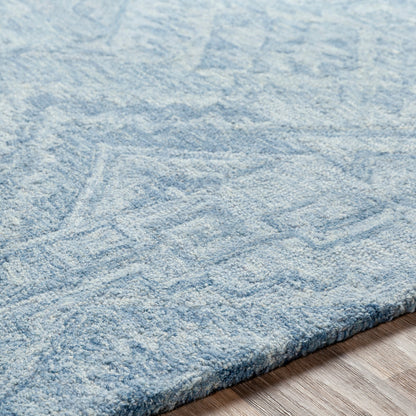 Newcastle Rug - 23667 by Surya. Made from 100% wool in a unique style.