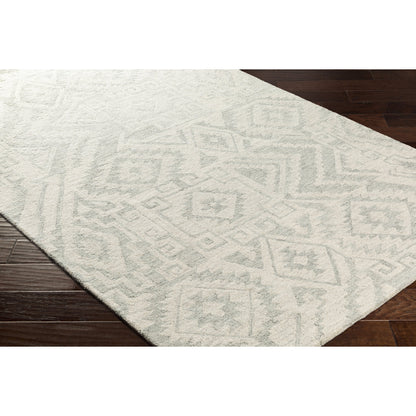 Newcastle Rug - 23667 by Surya. Made from 100% wool in a unique style.