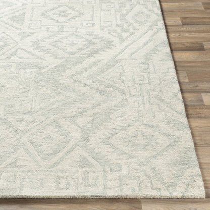 Newcastle Rug - 23667 by Surya. Made from 100% wool in a unique style.