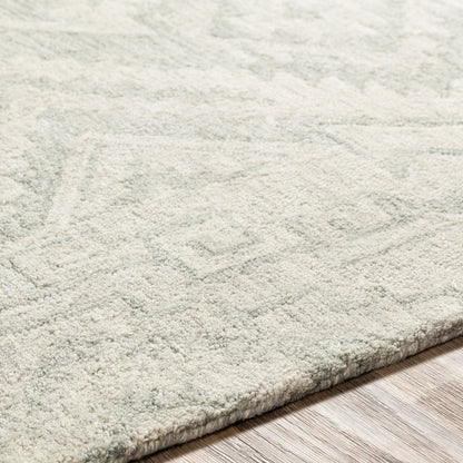 Newcastle Rug - 23667 by Surya. Made from 100% wool in a unique style.