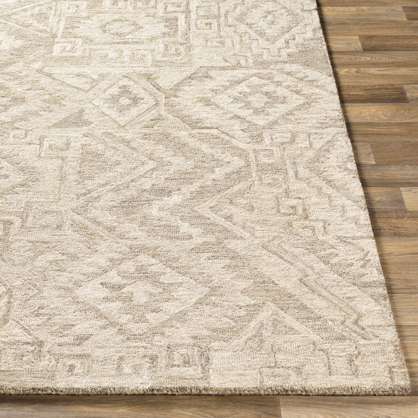 009 SR-755123 | Closeup | Newcastle Rug - 23667 by Surya. Made from 100% wool in a unique style.