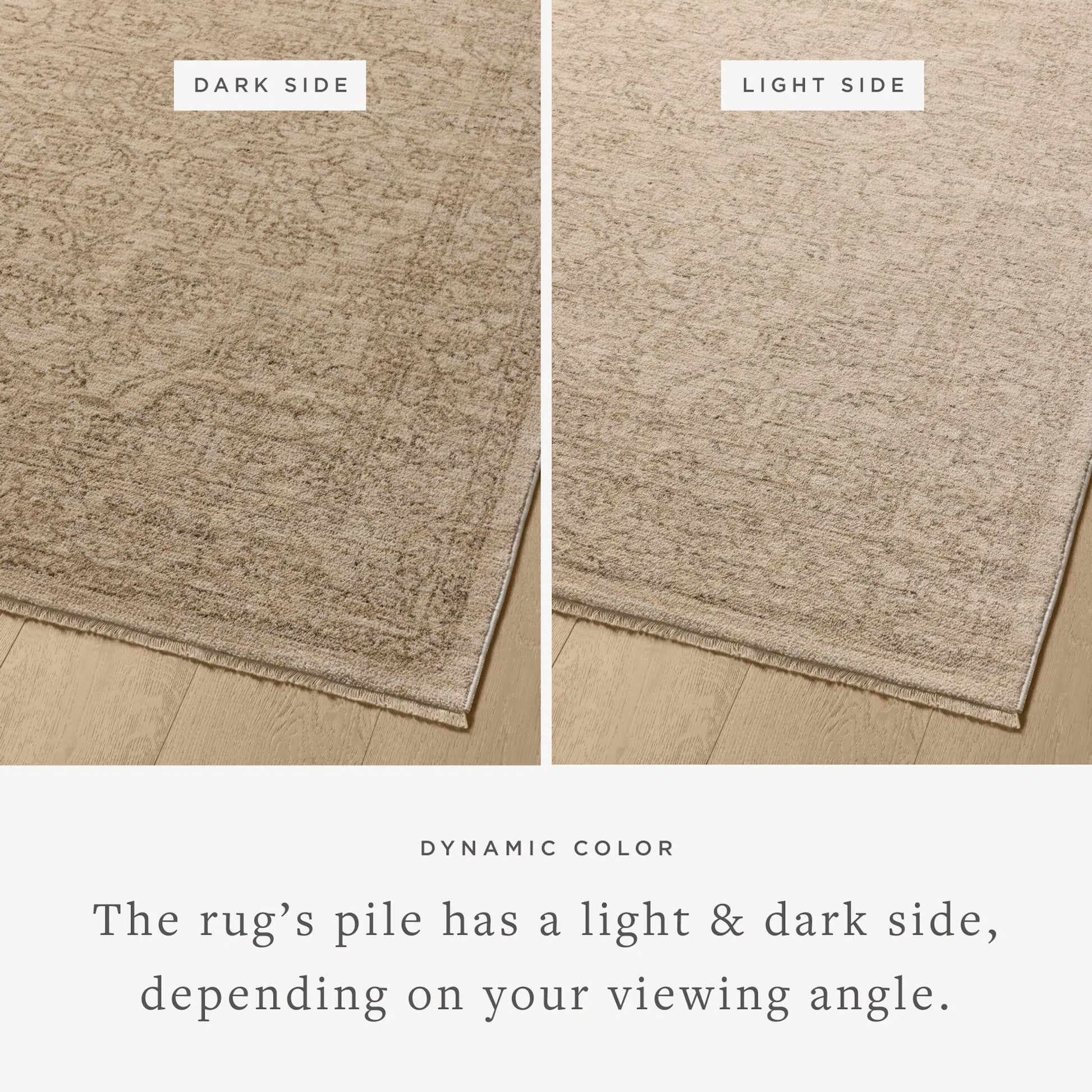 Newman NEW-01 Rug by Loloi. Made from 100% space dyed polyester in a unique style.