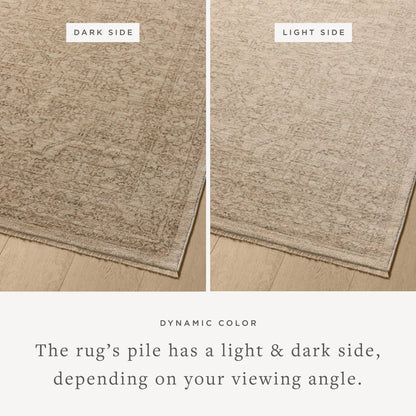Newman NEW-01 Rug by Loloi. Made from 100% space dyed polyester in a unique style.