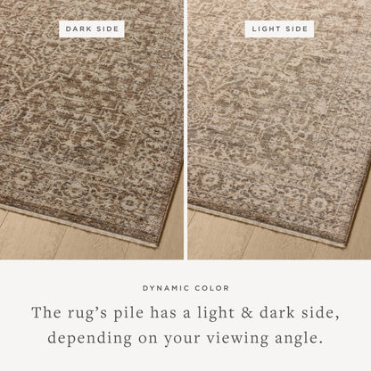 Newman NEW-02 Rug by Loloi. Made from 100% space dyed polyester in a unique style.