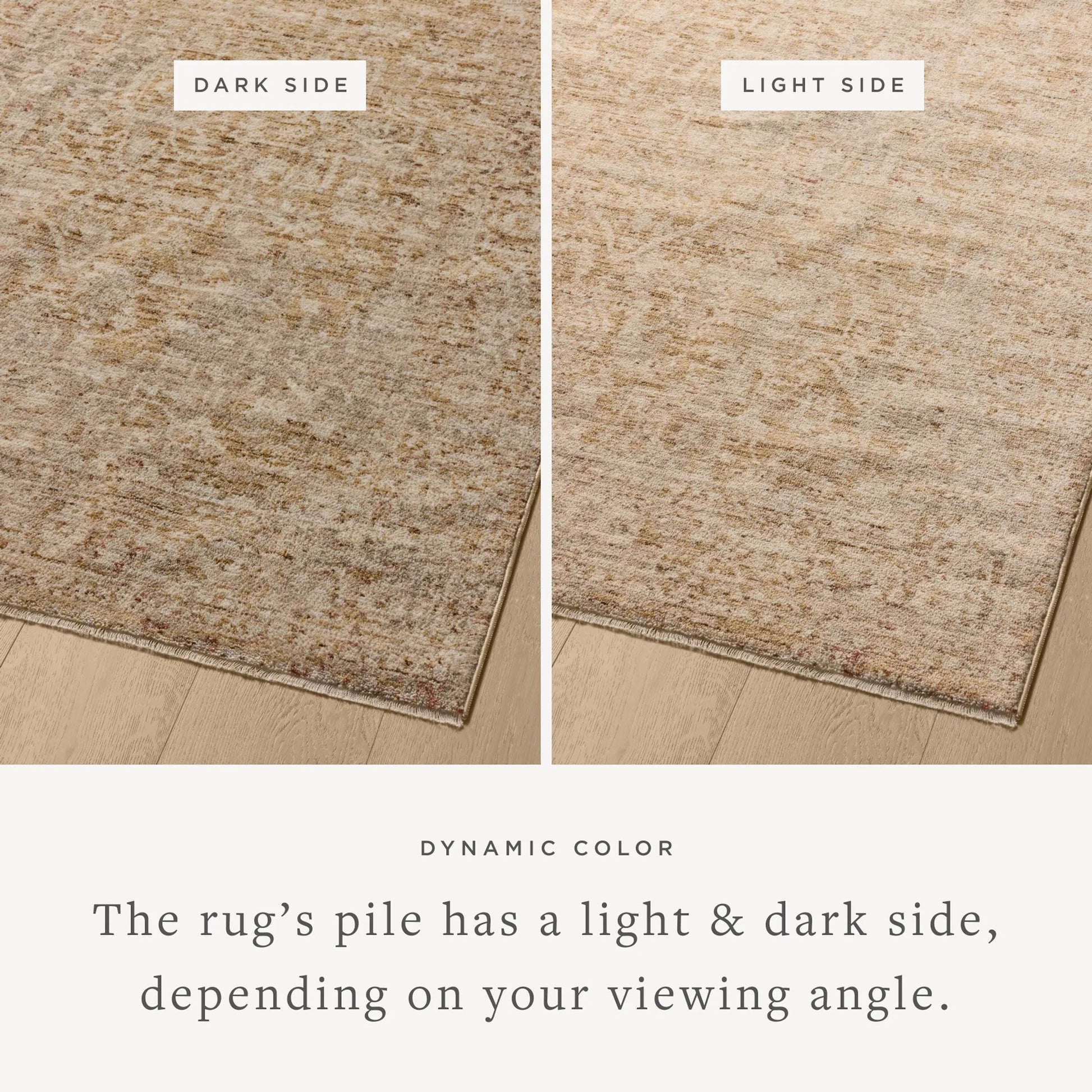 Newman NEW-02 Rug by Loloi. Made from 100% space dyed polyester in a unique style.