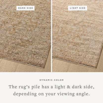 Newman NEW-02 Rug by Loloi. Made from 100% space dyed polyester in a unique style.