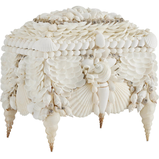 Boardwalk Shell Jewelry Box by Currey and Company. Made from unique in a coastal style.