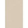 Light Beige / 2' x 3'