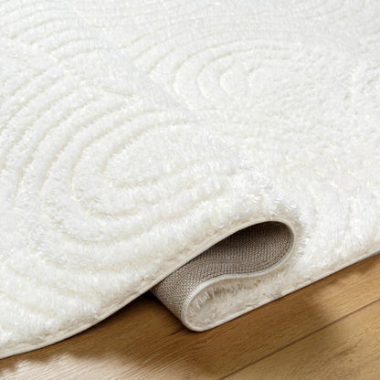 Nomadic NMC-2316 Rug by Livabliss in ivory. Made from face: 100% polyester, warp: 60% jute, 40% polyester in a unique style.