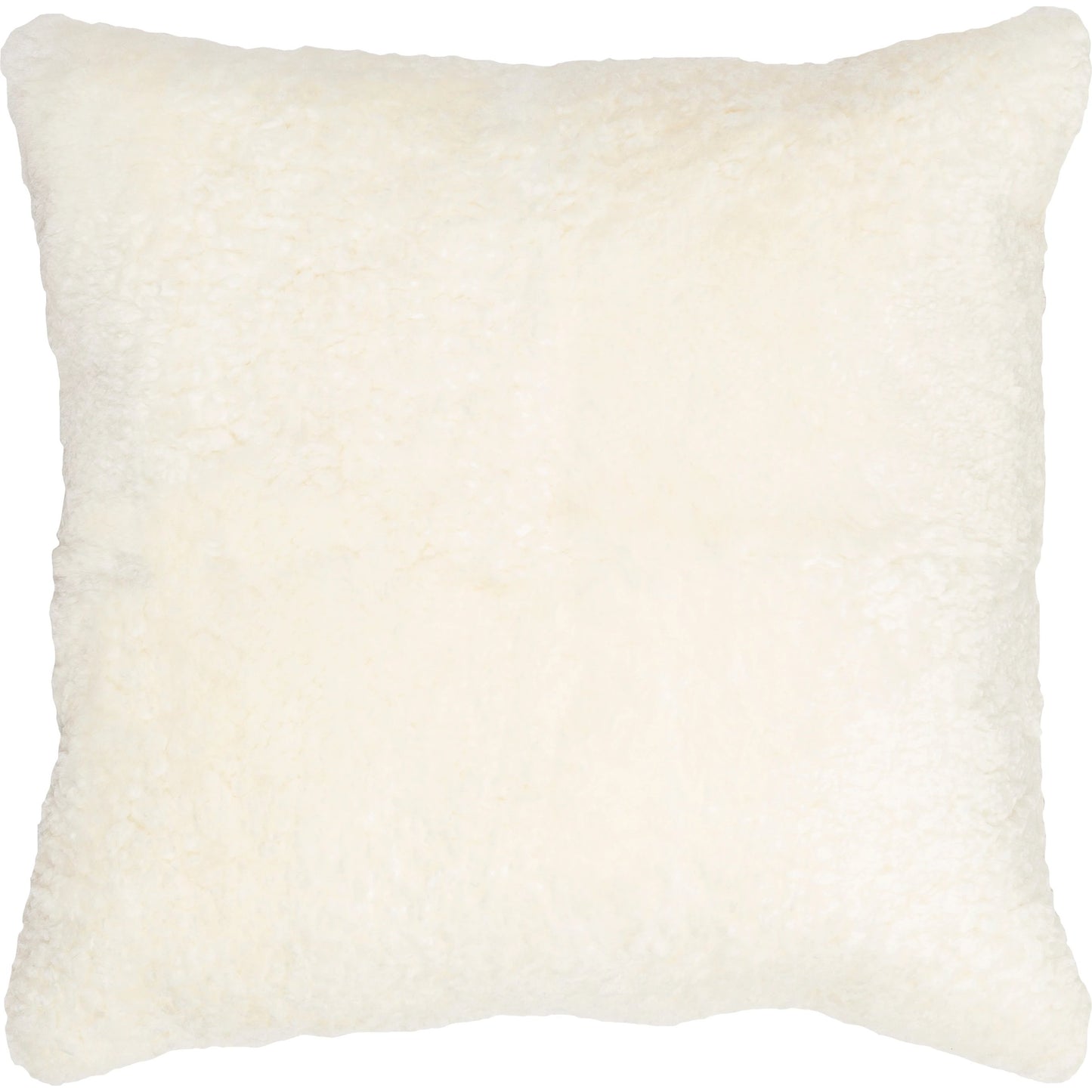 000 SI-1905740,SI-1905741 | Primary Silo | Northland Pillow - 22195 by Surya in cream. Made from front: 100% leather, back: 100% cotton in a modern style.