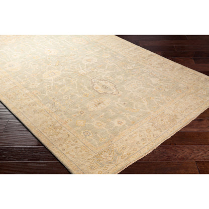 Normandy Rug - 25947 by Surya. Made from 100% wool in a unique style.