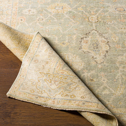 Normandy Rug - 25947 by Surya. Made from 100% wool in a unique style.