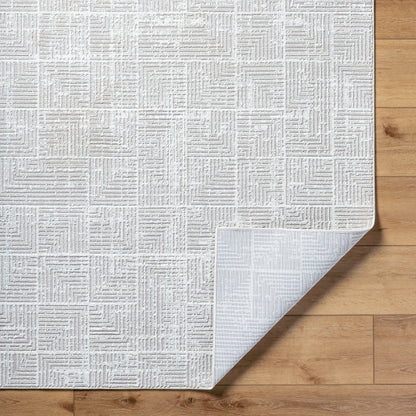 Nesta NST-2302 Rug by Livabliss in light beige, ivory. Made from face: 100% polyester, warp: 100% recycled pet yarn in a unique style.