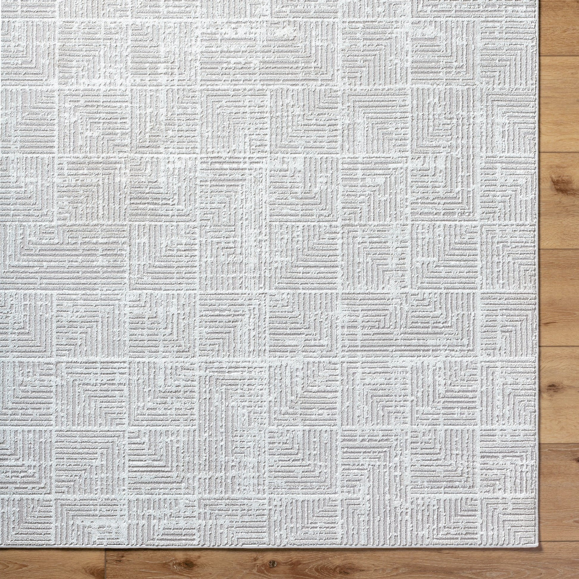 Nesta NST-2302 Rug by Livabliss in light beige, ivory. Made from face: 100% polyester, warp: 100% recycled pet yarn in a unique style.