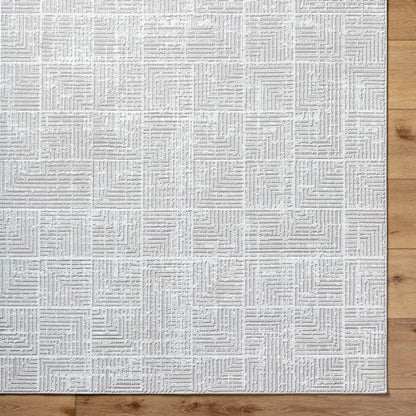 Nesta NST-2302 Rug by Livabliss in light beige, ivory. Made from face: 100% polyester, warp: 100% recycled pet yarn in a unique style.