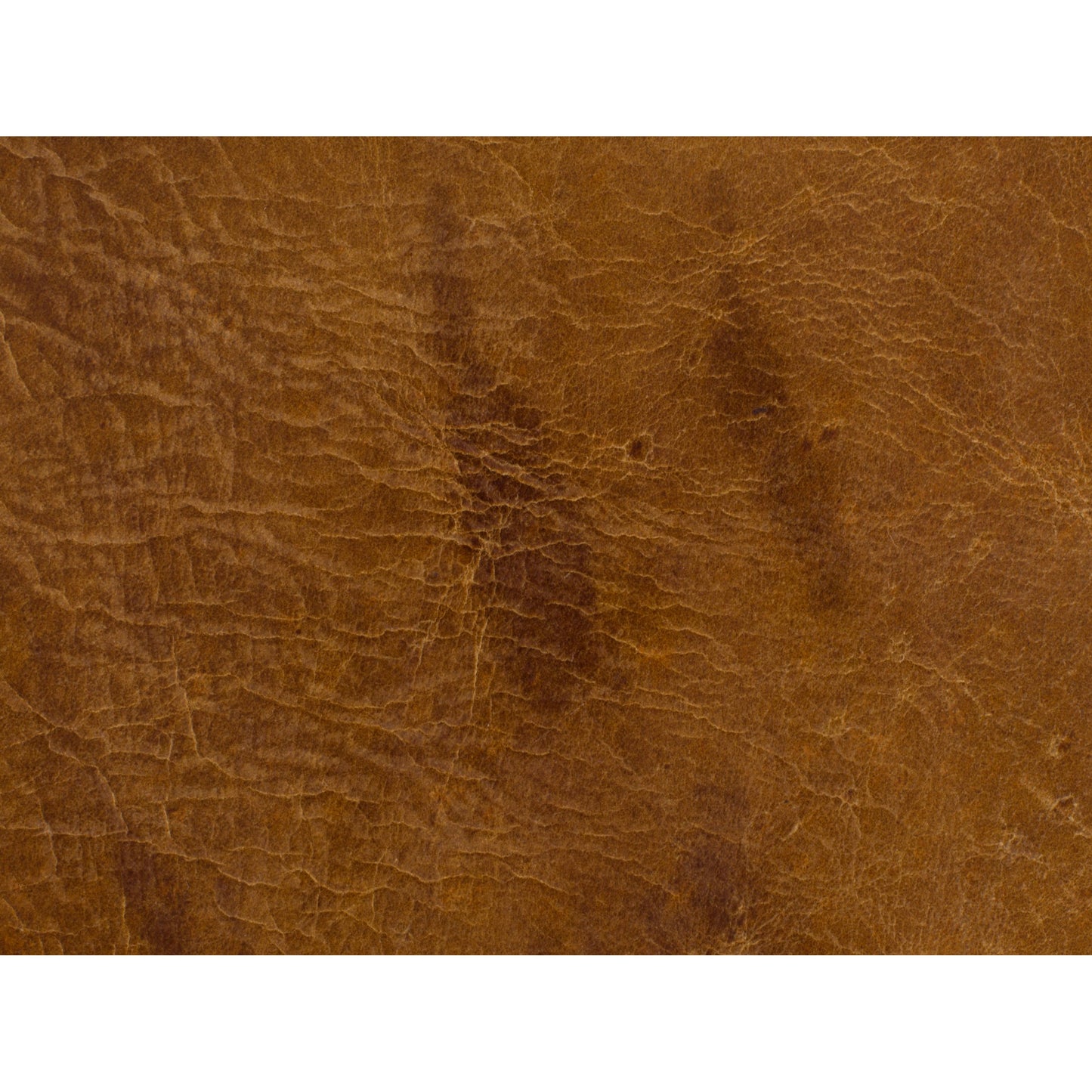 004 SI-1748732 | Closeup | Conner Swivel Club Chair by Hooker Furniture in brown and heavy metal gamma. Made from leather in a traditional style.