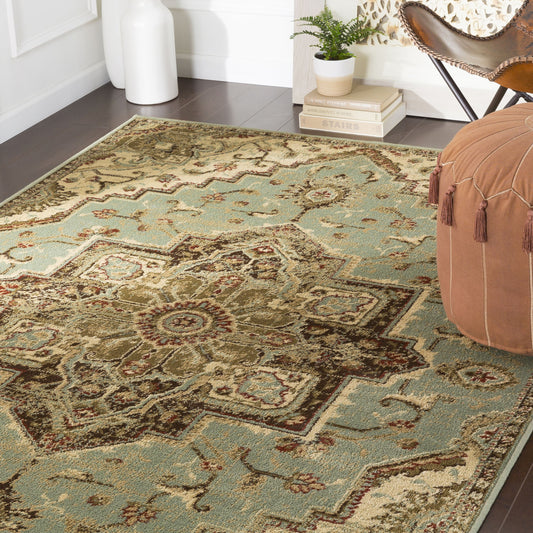 Paramount Rug by Livabliss in sage, dark brown. Made from 100% polypropylene in a eclectic & global style.