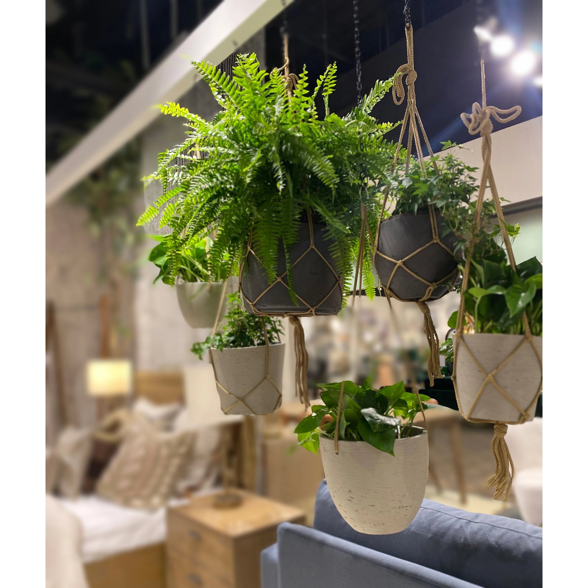 Classic Hanging Pot by LH Imports in cement grey. Made from cement, brown polyester rope in a modern style.