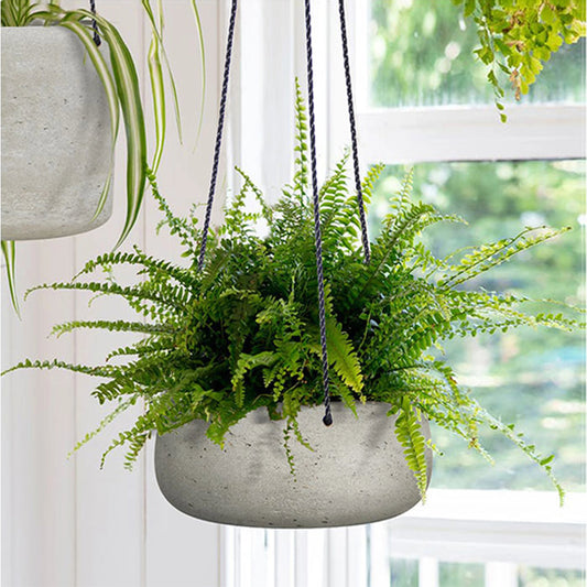 Circular Hanging Pot by LH Imports in cement grey. Made from cement, black polyester rope in a modern style.