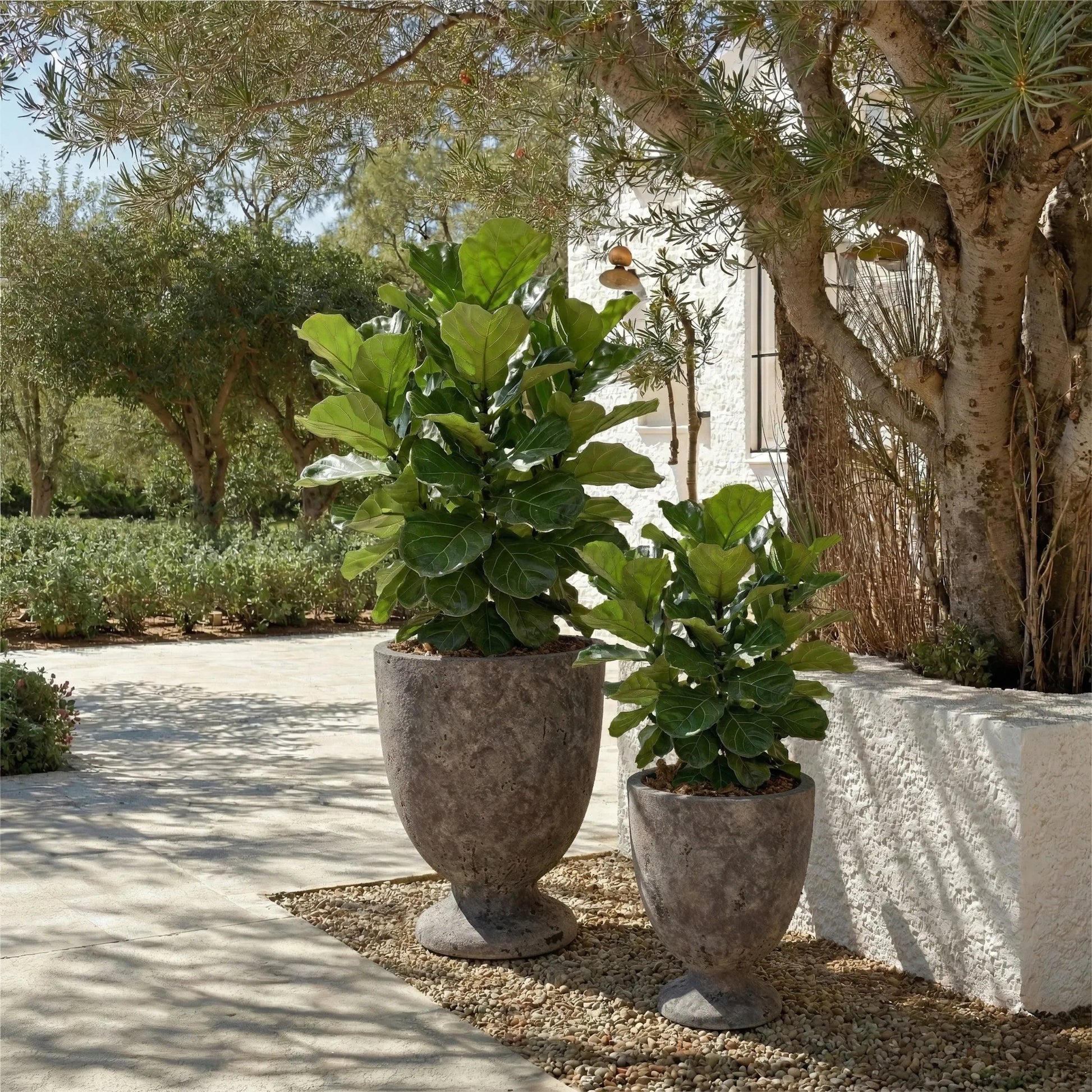 Roscoe Planter Pot by HedgeApple Essentials. Made from ficonstone in a unique style.