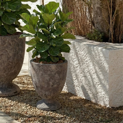 Roscoe Planter Pot by HedgeApple Essentials. Made from ficonstone in a unique style.