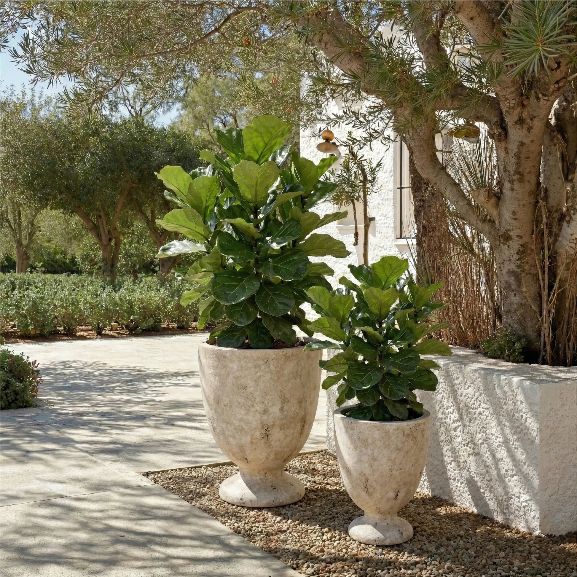 Roscoe Planter Pot by HedgeApple Essentials. Made from ficonstone in a unique style.
