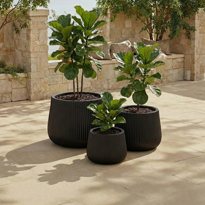 Esbon Planter Pot (Set of 3) by HedgeApple Essentials. Made from fiber clay in a unique style.