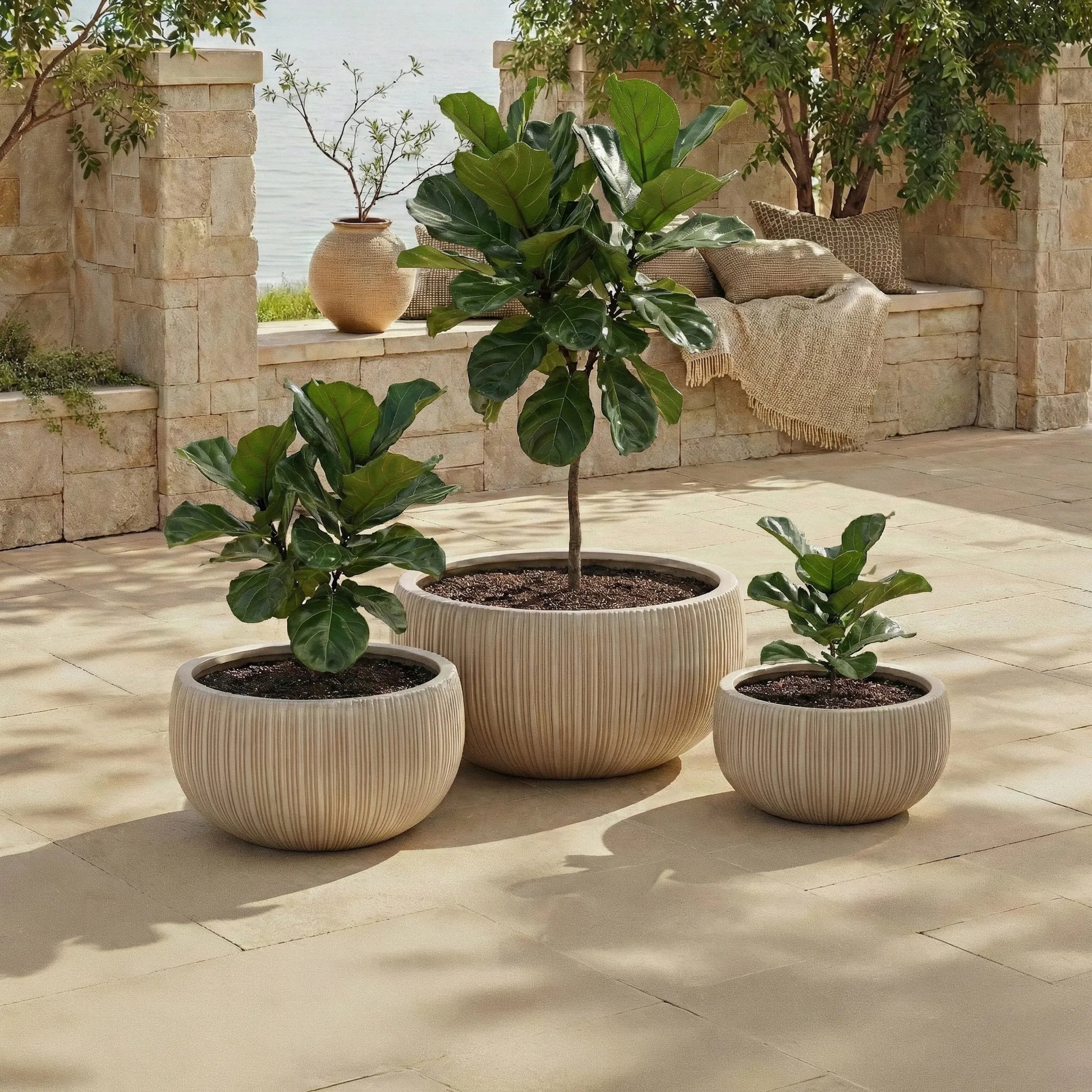 Sebastian Planter Pot (Set of 3) by HedgeApple Essentials. Made from fiber clay in a unique style.