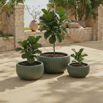 Sebastian Planter Pot (Set of 3) by HedgeApple Essentials. Made from fiber clay in a unique style.