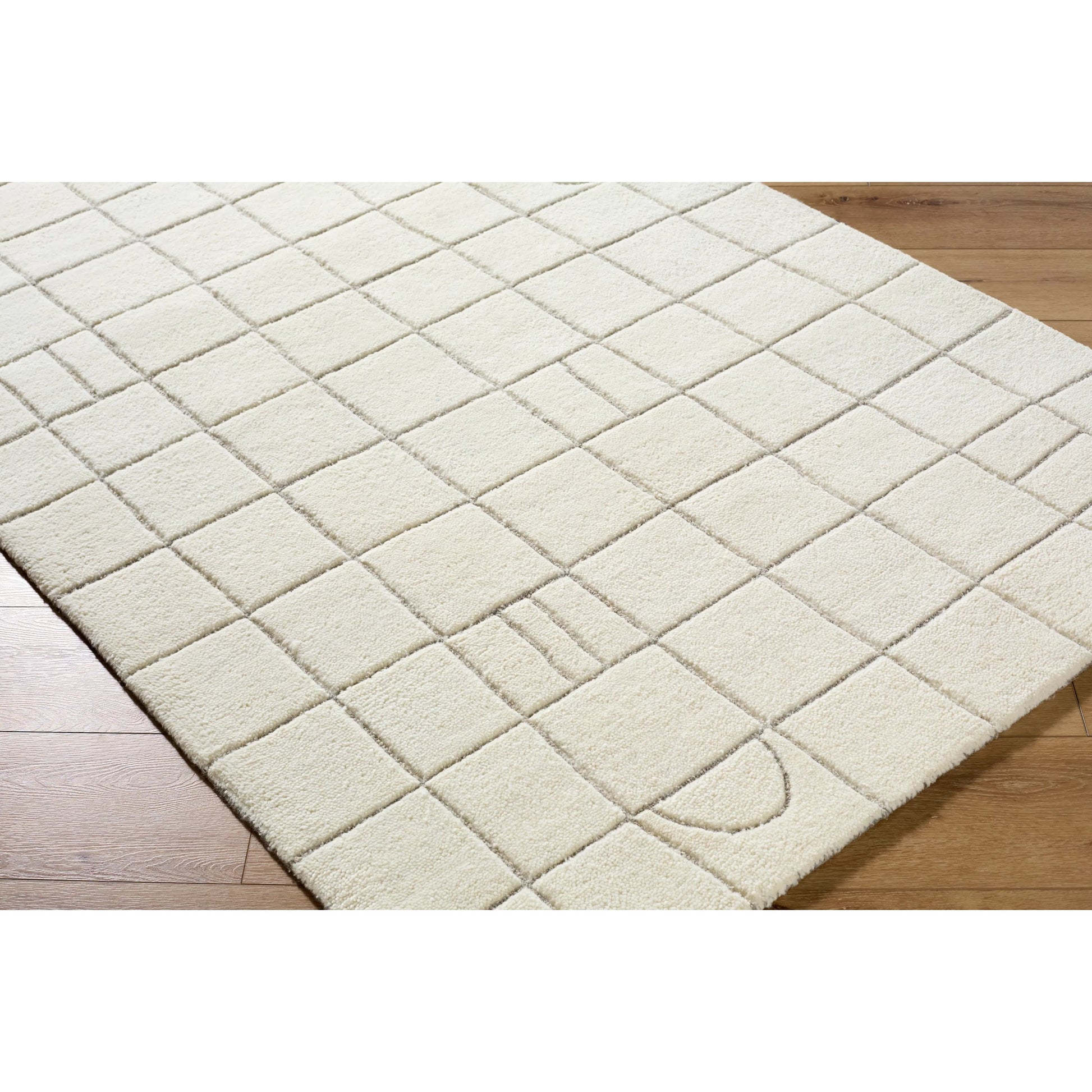 Portobello PBO-2305 Rug by Livabliss. Made from wool in a unique style.