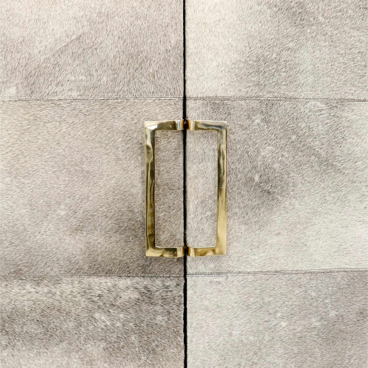 004 SI-2534703 | Closeup | Safari Steel & Cowhide Cabinet - PGN-847 by Pasargad Home in gold, silver. Made from steel, cowhide in a unique style.
