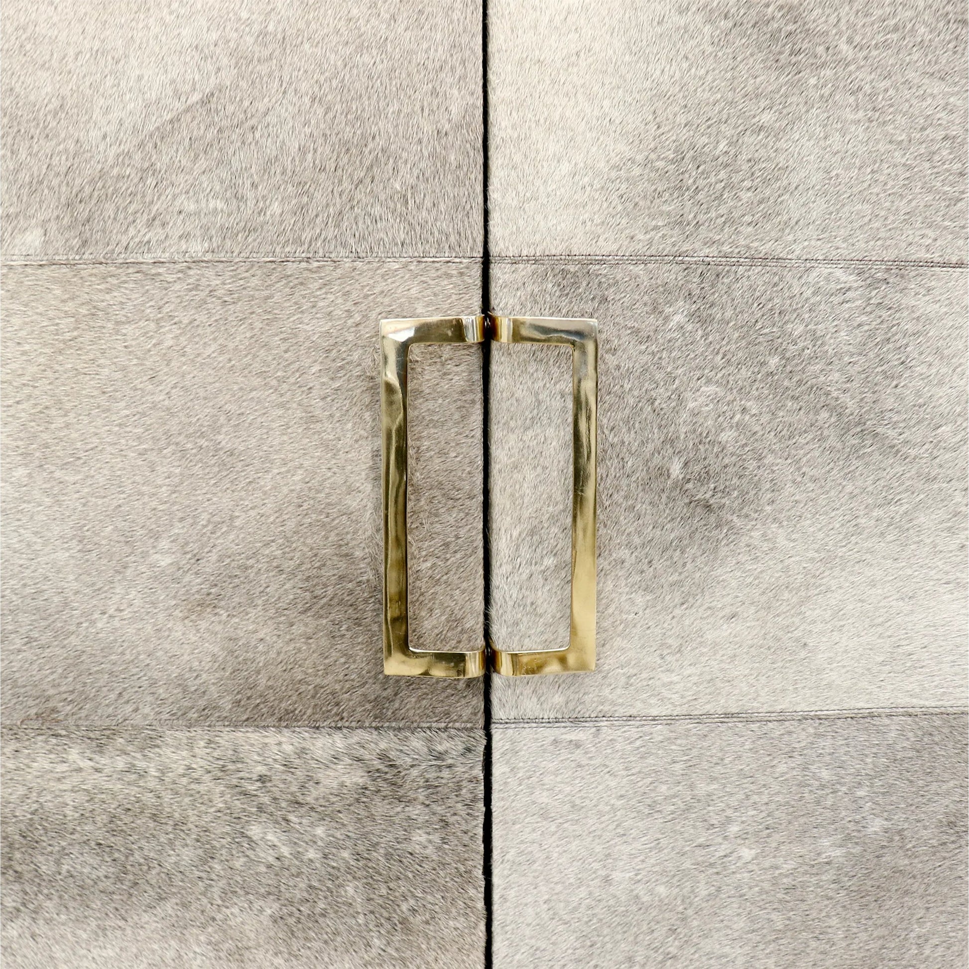 Safari Steel & Cowhide Cabinet - PGN-847 by Pasargad Home in gold, silver. Made from steel, cowhide in a unique style.