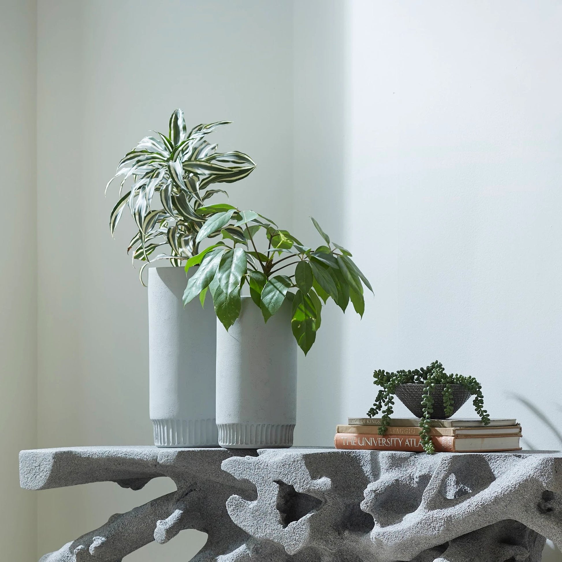 Beau Cast Root Console Table by Phillips Collection. Made from resin in a coastal style.